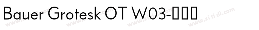 Bauer Grotesk OT W03字体转换